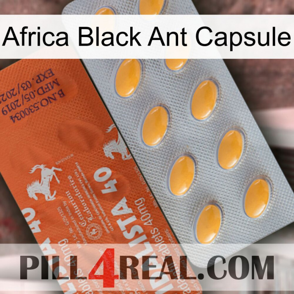 Africa Black Ant Capsule 43.jpg